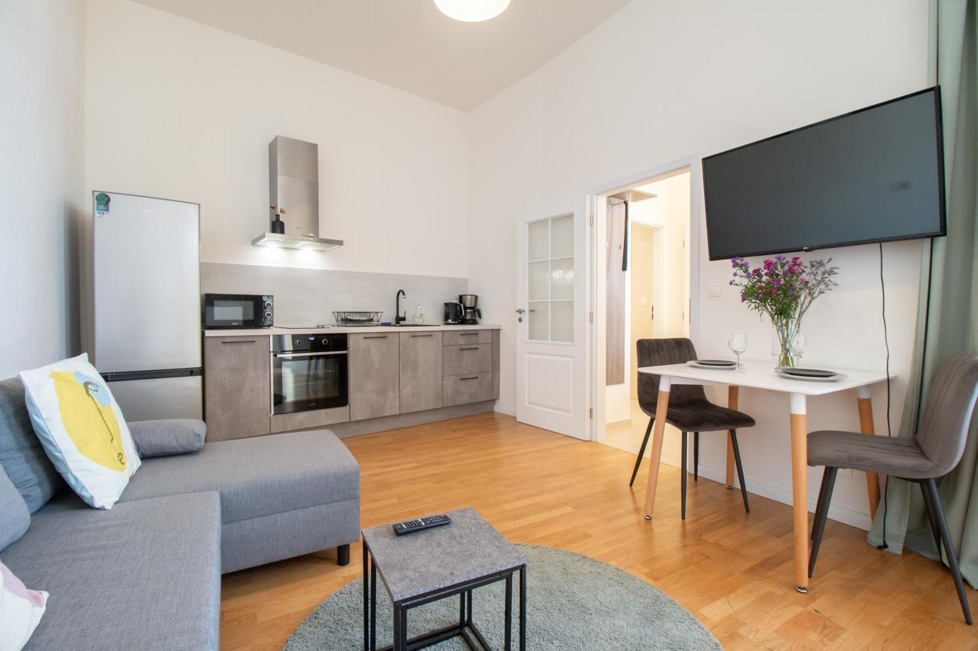 Apartment Stepanska Cr *